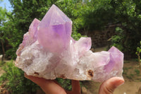 Natural Jacaranda Amethyst Quartz Cluster x 1 from Mumbwa, Zambia