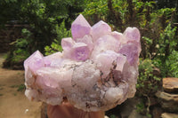 Natural Jacaranda Amethyst Quartz Cluster x 1 from Mumbwa, Zambia