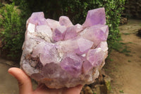 Natural Jacaranda Amethyst Quartz Cluster x 1 from Mumbwa, Zambia