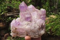 Natural Jacaranda Amethyst Quartz Cluster x 1 from Mumbwa, Zambia