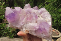 Natural Jacaranda Amethyst Quartz Cluster x 1 from Mumbwa, Zambia