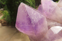 Natural Jacaranda Amethyst Quartz Cluster x 1 from Mumbwa, Zambia