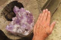 Natural Jacaranda Amethyst Quartz Cluster x 1 from Mumbwa, Zambia