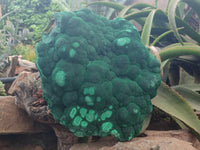 Natural Botryoidal Malachite Specimen x 1 From Congo