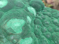 Natural Botryoidal Malachite Specimen x 1 From Congo