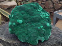 Natural Botryoidal Malachite Specimen x 1 From Congo