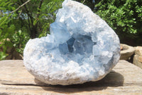 Natural Celestite Geode Specimen x 1 From Sakoany, Madagascar