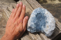 Natural Celestite Geode Specimen x 1 From Sakoany, Madagascar