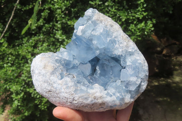 Natural Celestite Geode Specimen x 1 From Sakoany, Madagascar