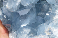 Natural Celestite Geode Specimen x 1 From Sakoany, Madagascar