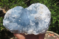 Natural Celestite Geode Specimen x 1 From Sakoany, Madagascar