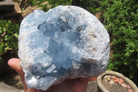 Natural Celestite Geode Specimen x 1 From Sakoany, Madagascar