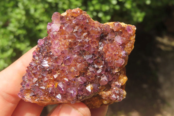 Natural Amethystos Amethyst Specimens x 12 From Kwaggafontein, South Africa