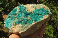 Natural Dioptase On Dolomite Specimen x 1 From Likasi, Congo