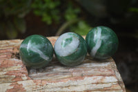 Polished Buddstone Sphere-Balls - Sold Per Item - From Swaziland