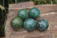 Polished Buddstone Sphere-Balls - Sold Per Item - From Swaziland