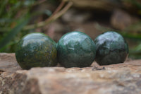 Polished Buddstone Sphere-Balls - Sold Per Item - From Swaziland