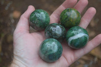 Polished Buddstone Sphere-Balls - Sold Per Item - From Swaziland