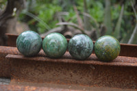 Polished Buddstone Sphere-Balls - Sold Per Item - From Swaziland