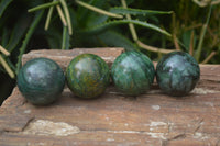 Polished Buddstone Sphere-Balls - Sold Per Item - From Swaziland