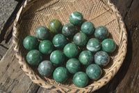 Polished Buddstone Sphere-Balls - Sold Per Item - From Swaziland