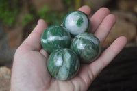 Polished Buddstone Sphere-Balls - Sold Per Item - From Swaziland