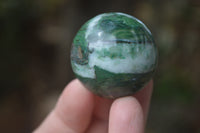 Polished Buddstone Sphere-Balls - Sold Per Item - From Swaziland