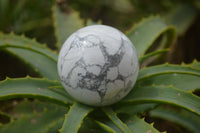 Polished Lightning Strike Howlite Sphere-Balls - Sold Per Item - From Zimbabwe