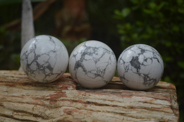 Polished Lightning Strike Howlite Sphere-Balls - Sold Per Item - From Zimbabwe