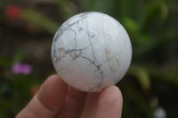 Polished Lightning Strike Howlite Sphere-Balls - Sold Per Item - From Zimbabwe