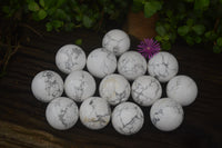 Polished Lightning Strike Howlite Sphere-Balls - Sold Per Item - From Zimbabwe