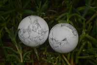 Polished Lightning Strike Howlite Sphere-Balls - Sold Per Item - From Zimbabwe