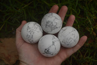 Polished Lightning Strike Howlite Sphere-Balls - Sold Per Item - From Zimbabwe