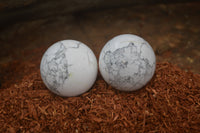 Polished Lightning Strike Howlite Sphere-Balls - Sold Per Item - From Zimbabwe