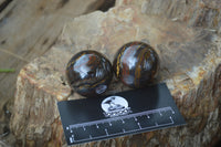 Polished Tiger Iron Sphere-Balls - Sold Per Item - From Marble Bar, Australia