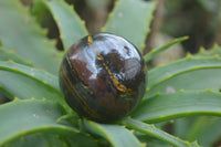 Polished Tiger Iron Sphere-Balls - Sold Per Item - From Marble Bar, Australia