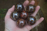 Polished Tiger Iron Sphere-Balls - Sold Per Item - From Marble Bar, Australia