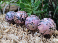 Polished Rhodonite Sphere-Balls - Sold Per Item - From Madagascar