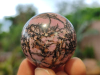 Polished Rhodonite Sphere-Balls - Sold Per Item - From Madagascar