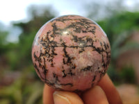 Polished Rhodonite Sphere-Balls - Sold Per Item - From Madagascar