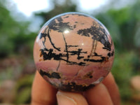 Polished Rhodonite Sphere-Balls - Sold Per Item - From Madagascar