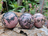 Polished Rhodonite Sphere-Balls - Sold Per Item - From Madagascar