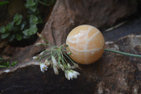 Polished Honey Aragonite Gemstone Sphere-Balls - Sold Per Item - From Ais-Ais Namibia