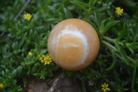 Polished Honey Aragonite Gemstone Sphere-Balls - Sold Per Item - From Ais-Ais Namibia