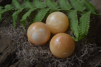 Polished Honey Aragonite Gemstone Sphere-Balls - Sold Per Item - From Ais-Ais Namibia