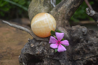 Polished Honey Aragonite Gemstone Sphere-Balls - Sold Per Item - From Ais-Ais Namibia