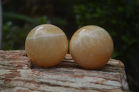 Polished Honey Aragonite Gemstone Sphere-Balls - Sold Per Item - From Ais-Ais Namibia