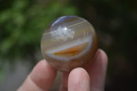 Polished Banded Agate Sphere-Balls - Sold Per Item - From Madagascar