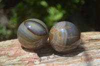 Polished Banded Agate Sphere-Balls - Sold Per Item - From Madagascar