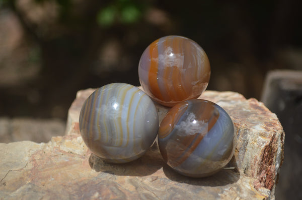 Polished Banded Agate Sphere-Balls - Sold Per Item - From Madagascar